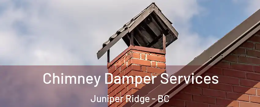  Chimney Damper Services Juniper Ridge - BC