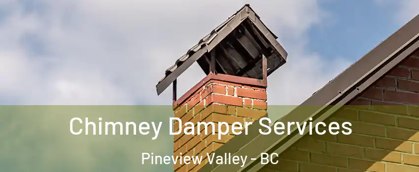  Chimney Damper Services Pineview Valley - BC