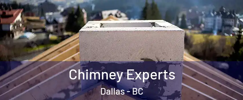Chimney Experts Dallas - BC