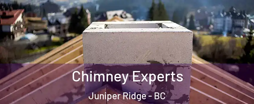 Chimney Experts Juniper Ridge - BC