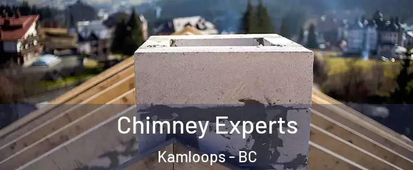 Chimney Experts Kamloops - BC