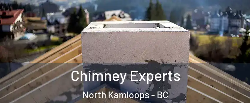 Chimney Experts North Kamloops - BC