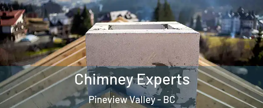 Chimney Experts Pineview Valley - BC
