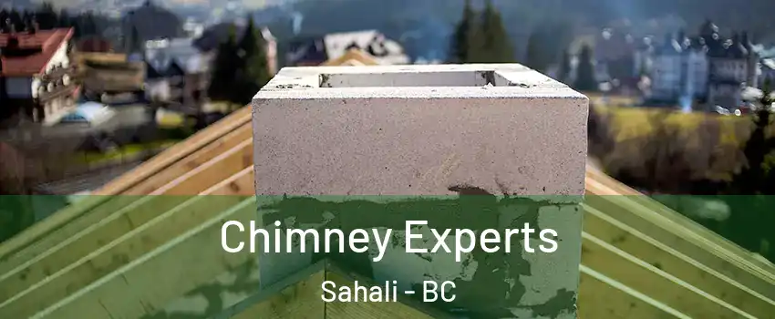 Chimney Experts Sahali - BC