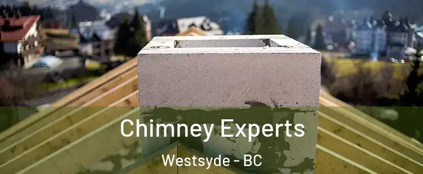 Chimney Experts Westsyde - BC