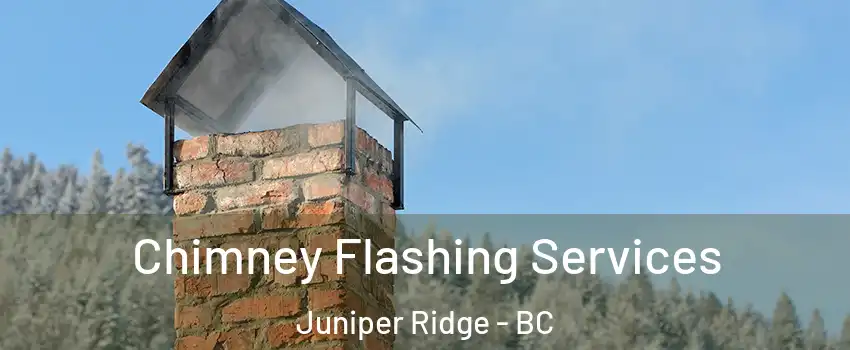 Chimney Flashing Services Juniper Ridge - BC
