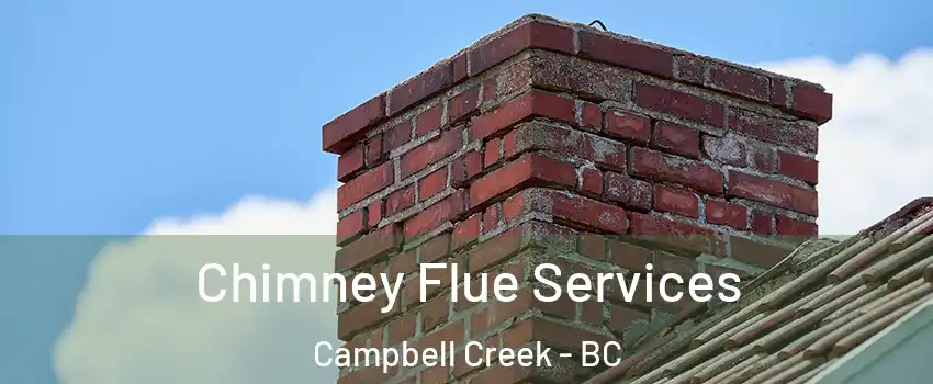  Chimney Flue Services Campbell Creek - BC