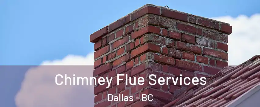  Chimney Flue Services Dallas - BC