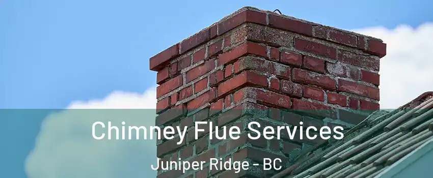  Chimney Flue Services Juniper Ridge - BC