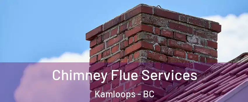  Chimney Flue Services Kamloops - BC