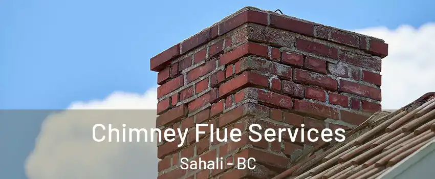  Chimney Flue Services Sahali - BC
