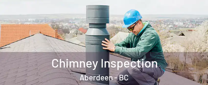  Chimney Inspection Aberdeen - BC