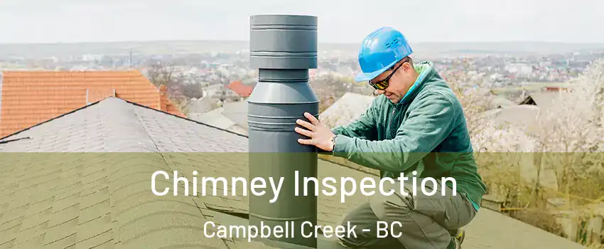  Chimney Inspection Campbell Creek - BC