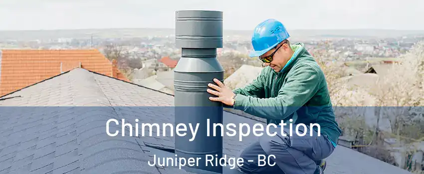 Chimney Inspection Juniper Ridge - BC
