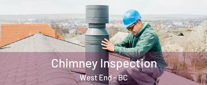  Chimney Inspection West End - BC