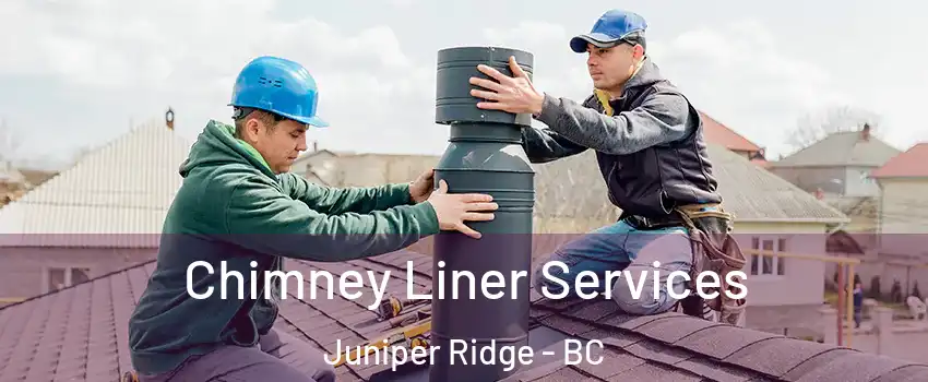  Chimney Liner Services Juniper Ridge - BC