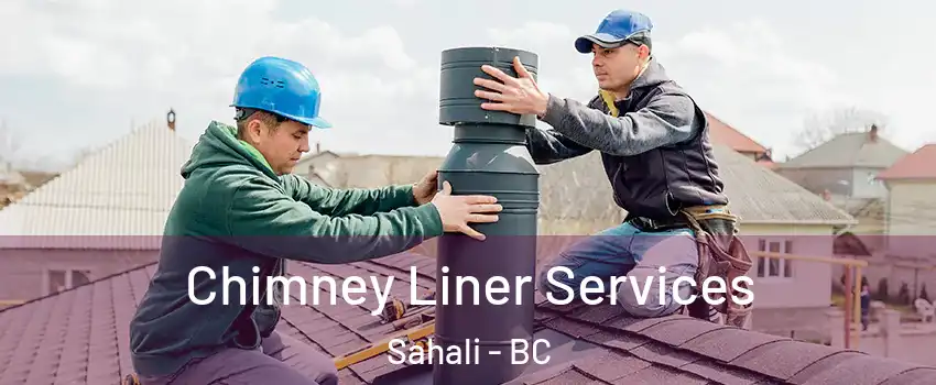  Chimney Liner Services Sahali - BC