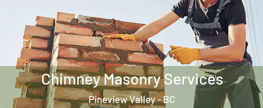  Chimney Masonry Services Pineview Valley - BC