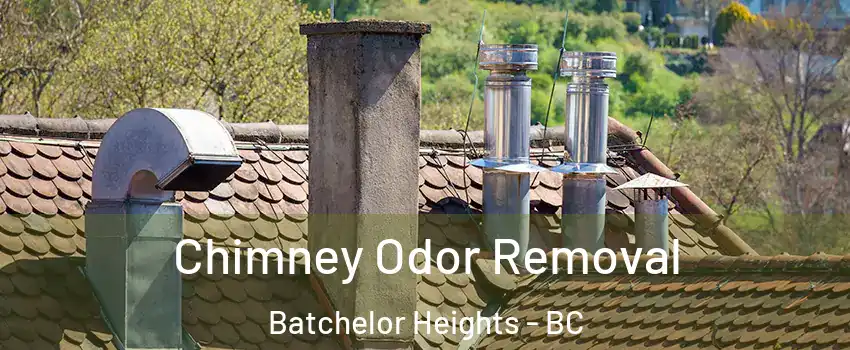  Chimney Odor Removal Batchelor Heights - BC