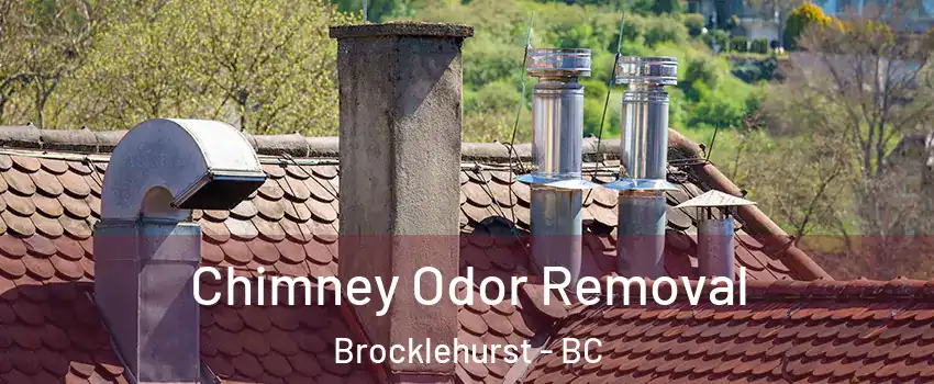 Chimney Odor Removal Brocklehurst - BC