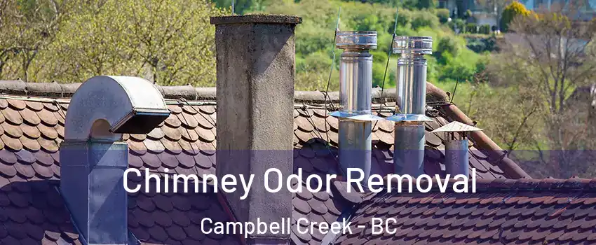  Chimney Odor Removal Campbell Creek - BC