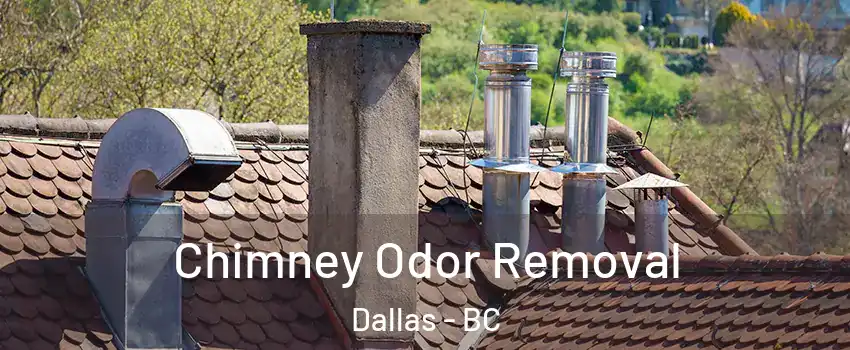  Chimney Odor Removal Dallas - BC