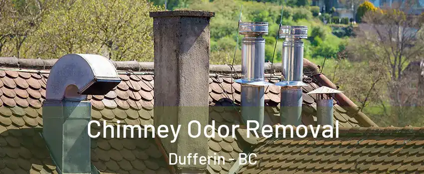  Chimney Odor Removal Dufferin - BC