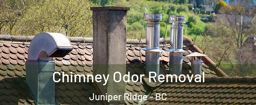  Chimney Odor Removal Juniper Ridge - BC