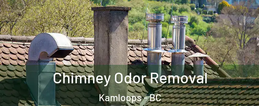  Chimney Odor Removal Kamloops - BC