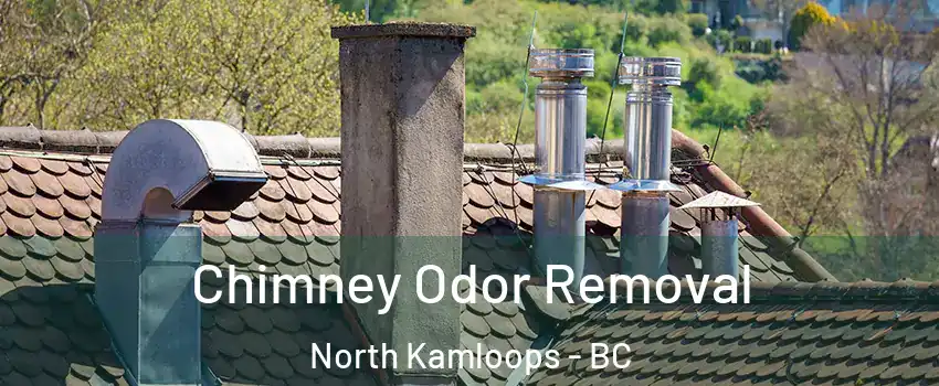  Chimney Odor Removal North Kamloops - BC