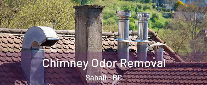  Chimney Odor Removal Sahali - BC