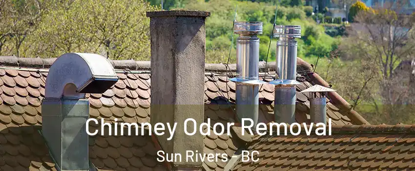  Chimney Odor Removal Sun Rivers - BC