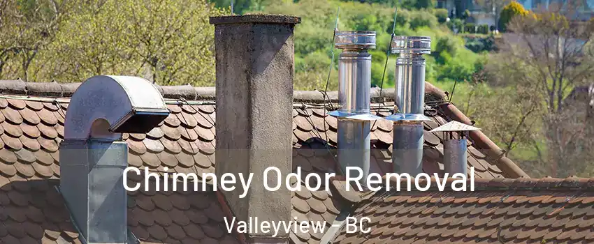 Chimney Odor Removal Valleyview - BC