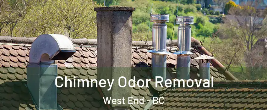  Chimney Odor Removal West End - BC