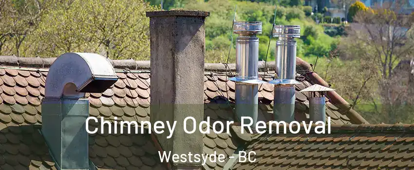  Chimney Odor Removal Westsyde - BC