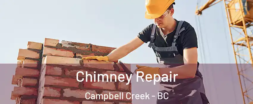  Chimney Repair Campbell Creek - BC