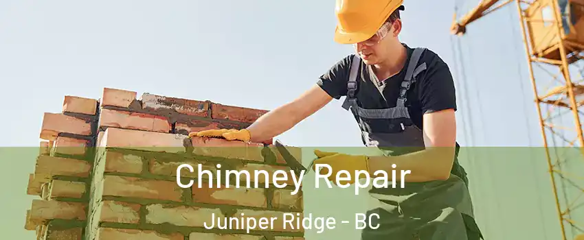  Chimney Repair Juniper Ridge - BC