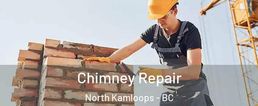  Chimney Repair North Kamloops - BC