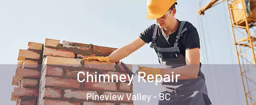  Chimney Repair Pineview Valley - BC