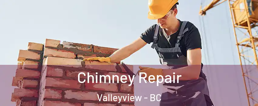  Chimney Repair Valleyview - BC