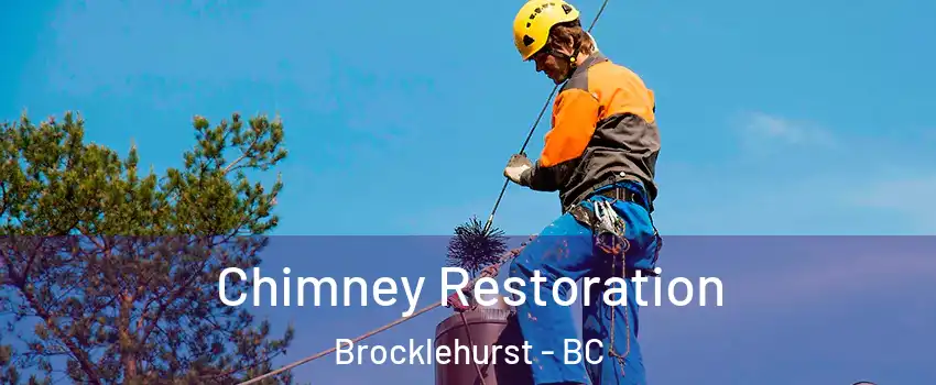  Chimney Restoration Brocklehurst - BC