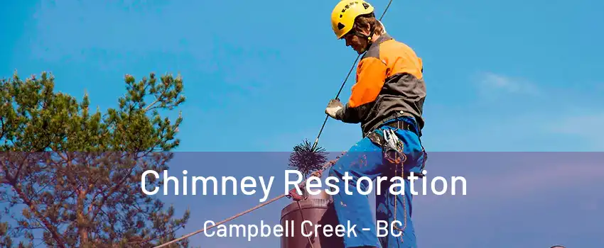  Chimney Restoration Campbell Creek - BC