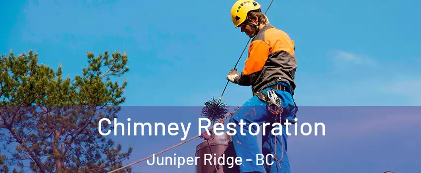  Chimney Restoration Juniper Ridge - BC