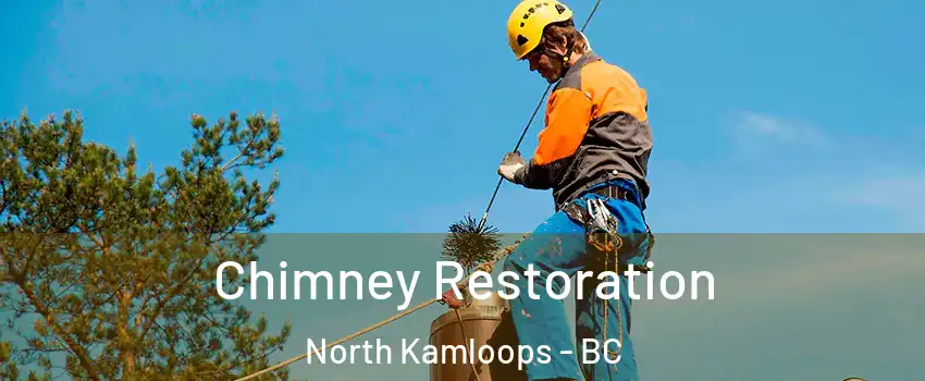  Chimney Restoration North Kamloops - BC