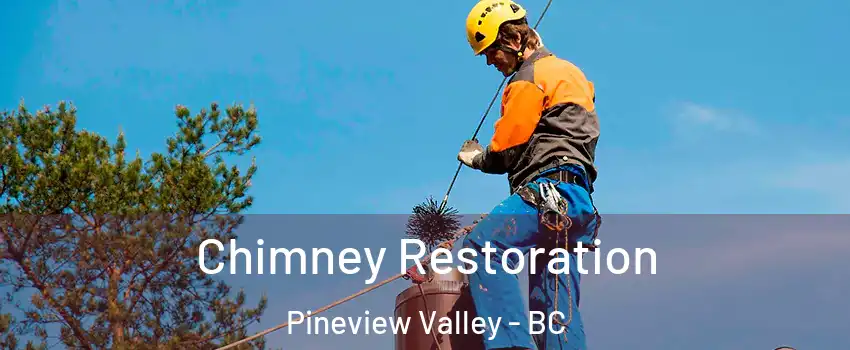  Chimney Restoration Pineview Valley - BC