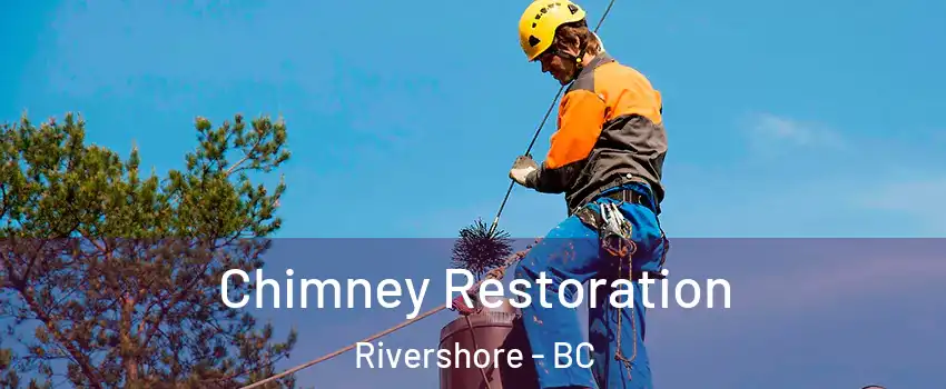  Chimney Restoration Rivershore - BC