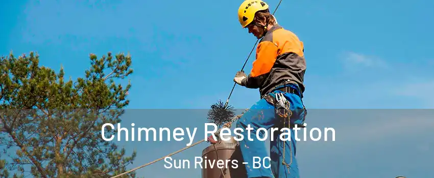  Chimney Restoration Sun Rivers - BC