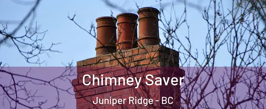  Chimney Saver Juniper Ridge - BC