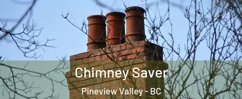  Chimney Saver Pineview Valley - BC