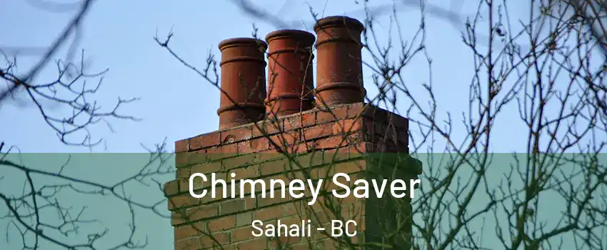  Chimney Saver Sahali - BC
